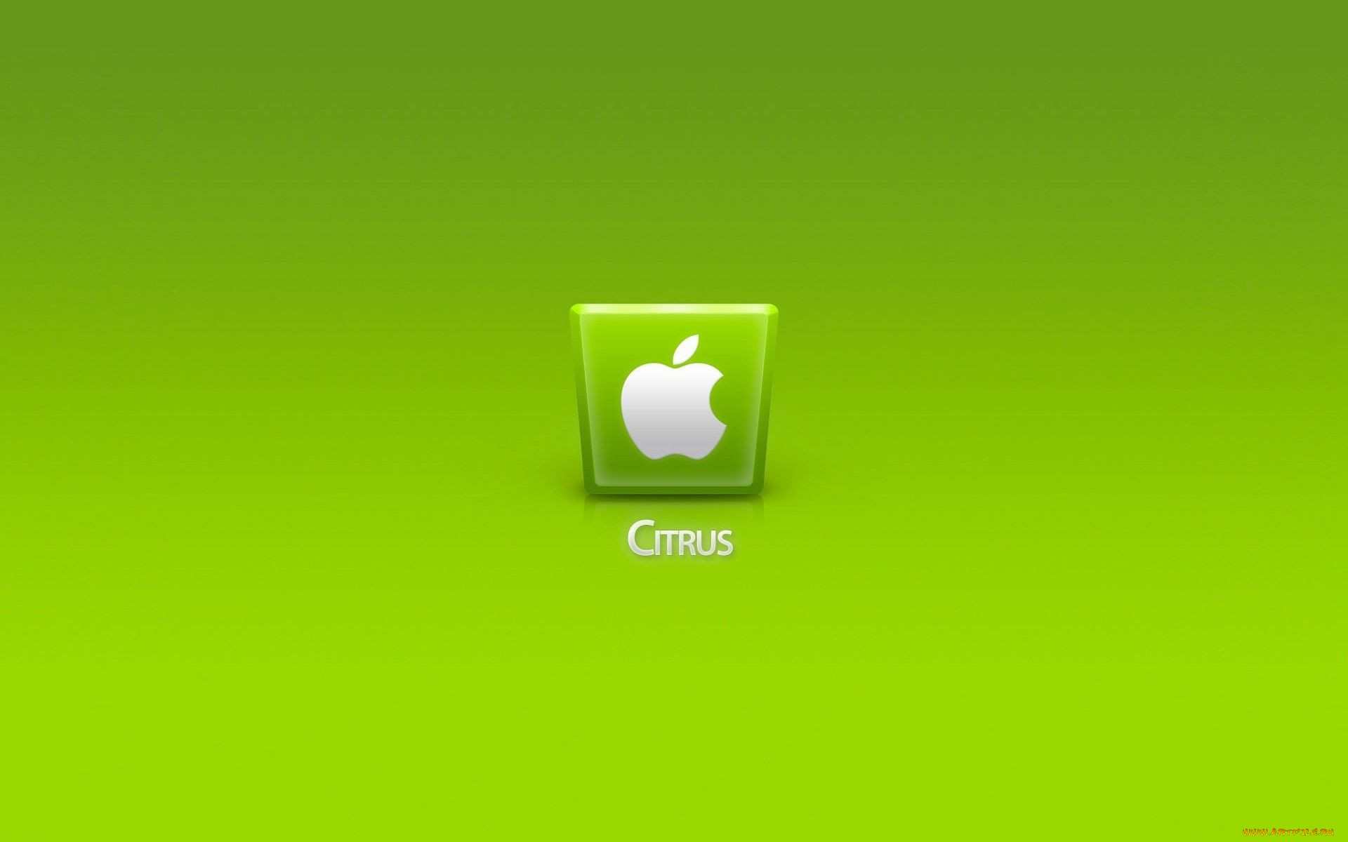 , apple